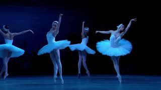 SWAN LAKE - Dance of the Big Swans - Act 2 (Mariinsky Ballet)