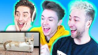 THE PALS TRY NOT TO LAUGH! (The Pals React to Funny Videos)