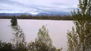 Piena del Piave a Ponte della Priula (TV) - 3 Novembre 2010