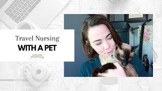 Everything Travel Nursing: Traveling with a Pet