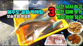 3시간 낚시하고 3일간 집에 못 온 제주도 결항 빅게임과 3가지 요리