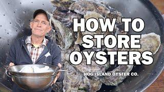 The BEST Way to Store Oysters and Keep Them Fresh at Home! | Hog Island Oyster Co.