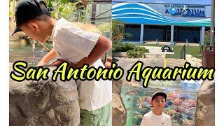 San Antonio Aquarium Experience 2023