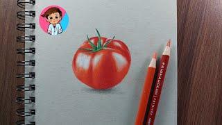 How to draw tomato step by step tutorial | prismacolor pencils