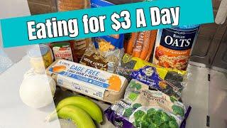 $20 for 7 Days | Eating for Less Than $3 A Day | Emergency Grocery Budget