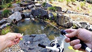 Micro Fishing for a New Pet Crappie!!