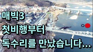 매빅3 vs 매빅2프로 || 마스터샷, 액티브트랙 리뷰, 매빅2프로와 비교.. 실망스럽네요