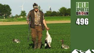 Fieldsports Britain - How the Dutch cope with general licences