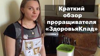 Краткий обзор проращивателя Здоровья Клад