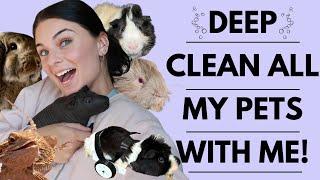 DEEP CLEAN MY PETS WITH ME!!