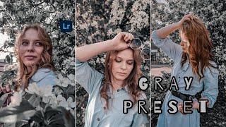 Gray Preset - Lightroom Mobile Presets Free DNG | Gray Preset Free DNG | Lightroom Mobile Tutorials