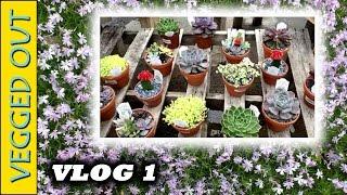 VEGGED OUT VLOG 1 INTRO - SUCCULENTS GARDENING PLANT BASED LIFESTYLE