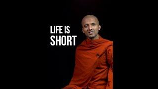 Life Is Short | Buddhism In English #Shorts