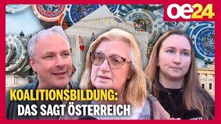 Koalitionsbildung: Das sagt Österreich