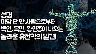 성경 아담 단 한 사람으로부터백인, 흑인, 황인종이 나오는 놀라운 유전학의 발견!