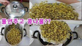 콩나물 곰솥에 물 안주고 4일만에 키웠더니?? 오잉!!｜How to grow bean sprouts in 4 days without water in a pot, oh!