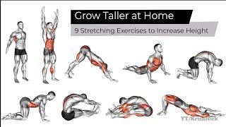 Grow Taller at Home | 9 Stretching Exercises to Increase Height