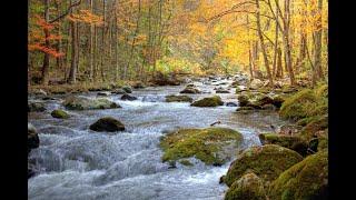 Tuckasegee River Property, Cashiers, NC