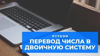 Перевод числа в двоичную систему счисления (Алгоритмы Python)