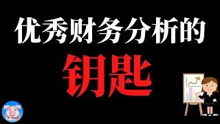 怎样做优秀的财务分析？︱什么样的财务分析会让人眼前一亮？︱优秀财务分析的钥匙︱【猪二哥探索】