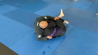 BJJ Light Round 172 (Black Belt vs Purple Belt)