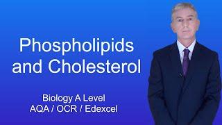 A Level Biology Revision "Phospholipids and Cholesterol"