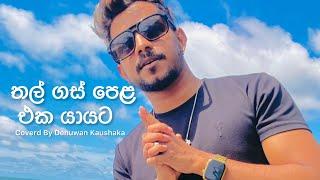 තල් ගස් පෙළ | Chamara Ranawaka | Coverd By Denuwan Kaushaka | sinhala Cover songs 2023