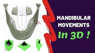 Mandibular Movements in 3D | SUPER EASY