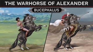 Bucephalus - Warhorse of Alexander the Great DOCUMENTARY