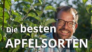 Die BESTEN APFELSORTEN für den eigenen HAUSGARTEN