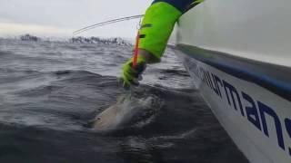 Скоро весна) Морская рыбалка в Баренцевом море  Мурманские морские рыбалки