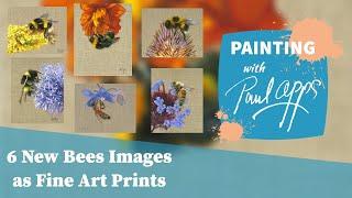 6 New Bee Images as Fine Art Prints - Launch and Launch Offer