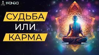 Почему карма не возникает сама по себе? Как наши действия определяют то, что нас ждёт в будущем?