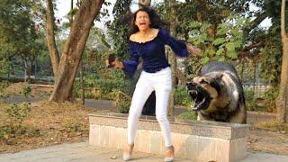 পাগল কুকুর মেয়েটাকে এ কি করলো?? Dog Barking Prank | PrankBuzz