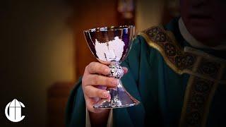 Catholic Mass Today: 11/7/24 | Thursday of the Thirty-First Week in Ordinary Time