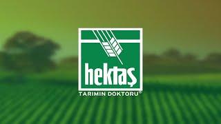 #HEKTS #Tavan ile Hafta Kapanışı Yaptı! #Hektaş Tahtası Alıcı Satıcı Kim, Tavanda Kaç Lot Bekliyor?