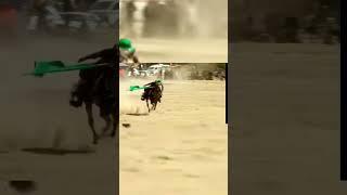صولة ابي الفضل العباس (ع) ️مع فزاعيات وهوسات للعباس (ع) #الامام_علي #الرسول