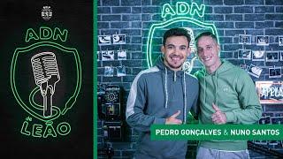 ADN de Leão | Episódio 94: Pedro Gonçalves e Nuno Santos