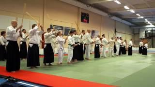 Aikido - Misogi with Bokken