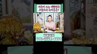 트럼프 당선은 대한민국에게 좋은걸까 나쁜걸까 #https #트럼프당선인 #대한민국관계 #미국관계