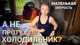 Как узнать, что еда испортилась, пока вас не было? Просто дневник Константиновой.