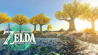 ️ Great Sky Island｜Tears of the Kingdom｜ZELDA Ambience｜Relaxing Zelda BGM