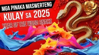 LUCKY Colors in 2025: Pinaka Maswerteng Kulay sa 2025 Year of The Wood Snake!