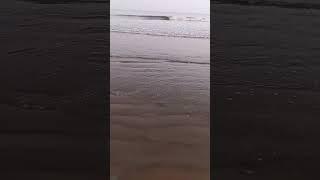 Digha #reels #reelsvideo #shortvideo #shorts #short #viral #viralvideo #video