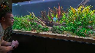 IS AQUASCAPING IS THE BEST HOBBY? (4K)