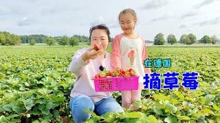 在德国草莓园摘草莓超兴奋，一个小时摘一筐！Pick strawberries at a German strawberry farm, pick a basket in an hour!