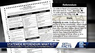 Statewide referendum on November's ballot, what does it mean?