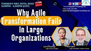 Why Agile Transformation Fails in Large Companies | Agile Coach | Scrum Master | Product Manager