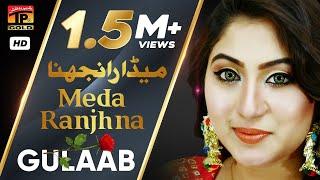 Meda Ranjhna (Official Video) | Gulaab | Latest Saraiki & Punjabi Songs 2019 | TP Gold