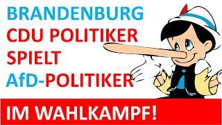 CDU Mann spielt AfD-Politiker!